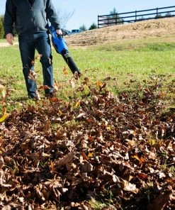 Kobalt Cordless Electric Leaf Blowers 80-volt Max 630-CFM Brushless Handheld Cordless Electric Leaf Blower 2.5 Ah (Battery & Charger Included) 15 Kobalt Cordless Electric Leaf Blowers 80-volt Max 630-CFM Brushless Handheld Cordless Electric Leaf Blower 2.5 Ah (Battery & Charger Included) -Kobalt Best Sale 41718125